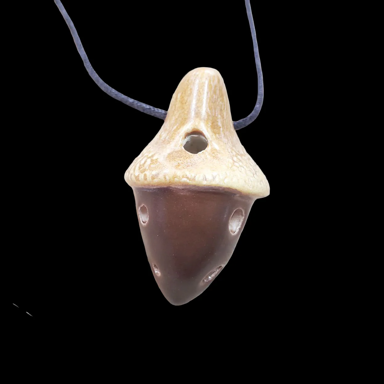 Acorn