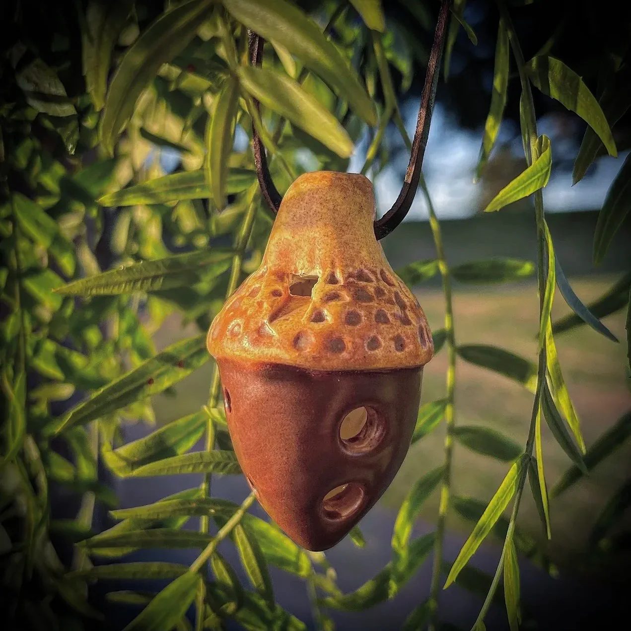 Acorn - Image 2