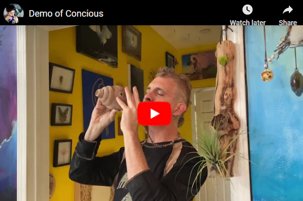 Conscious - Image 2