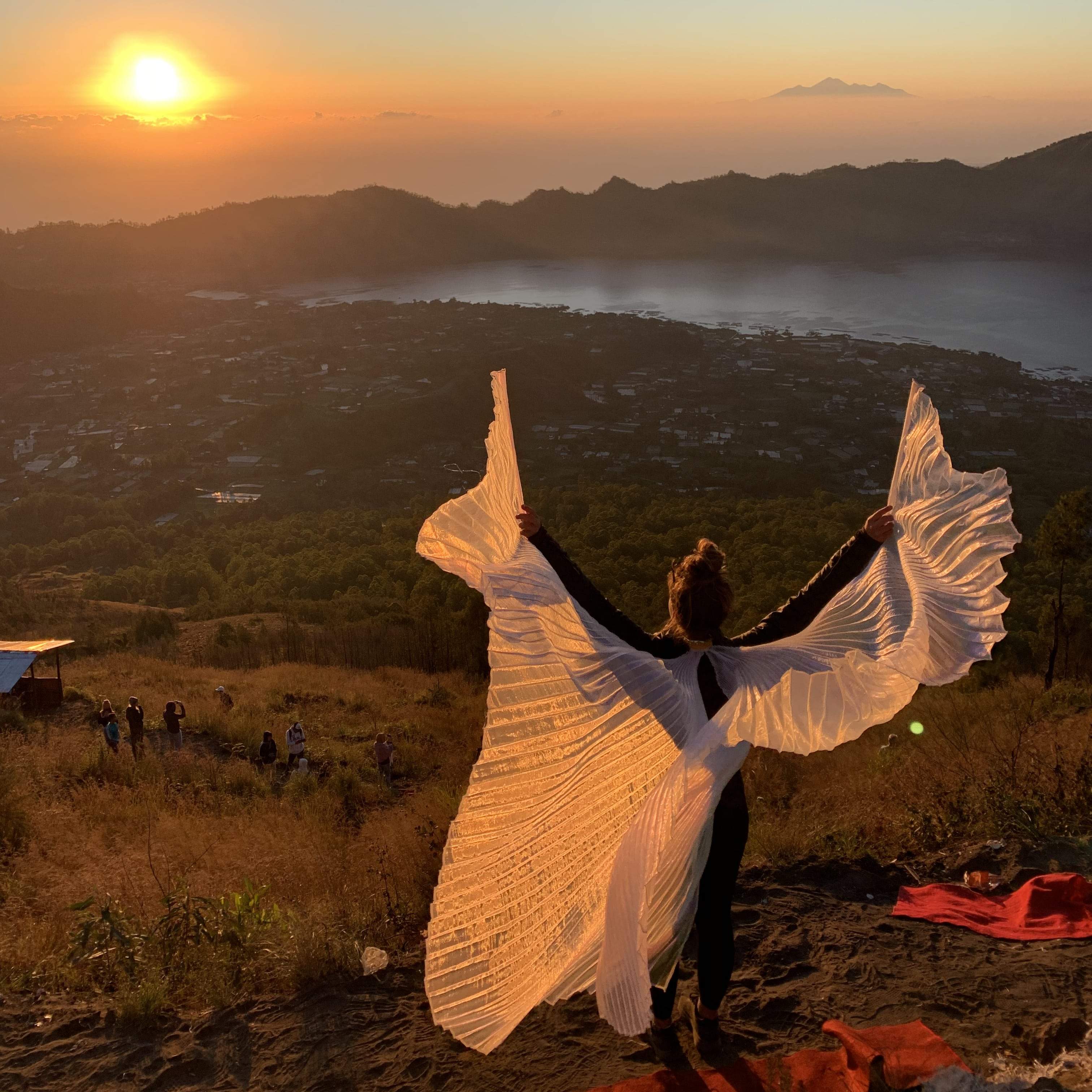 Dancing Wings for Big Kids (Large) - Image 10