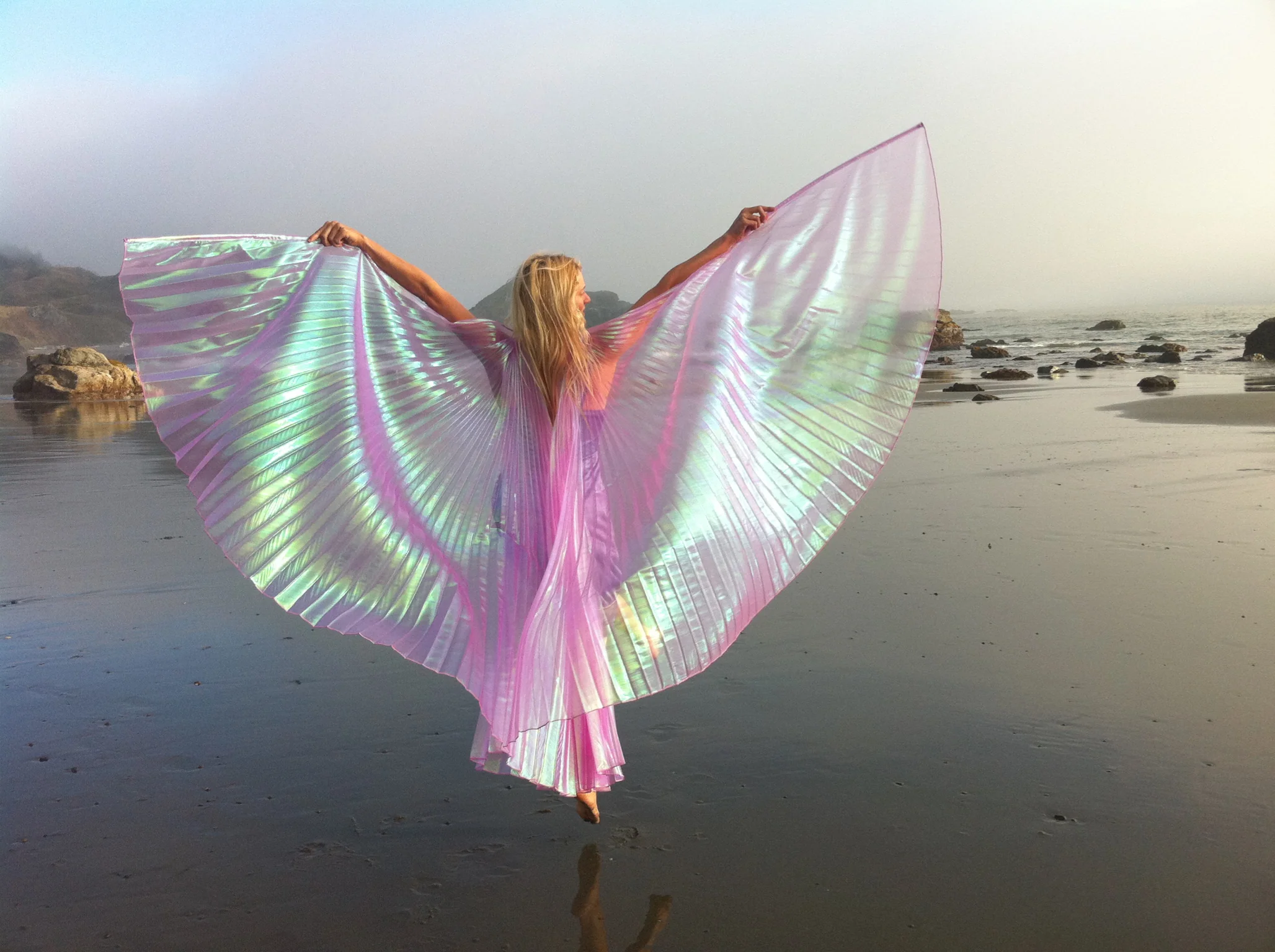 Dancing Wings for Big Kids (Large) - Image 7