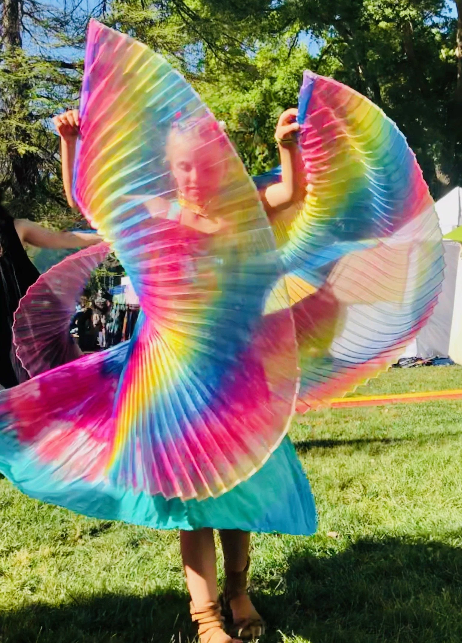 Dancing Wings For In-Between Kids (Medium) - Image 4