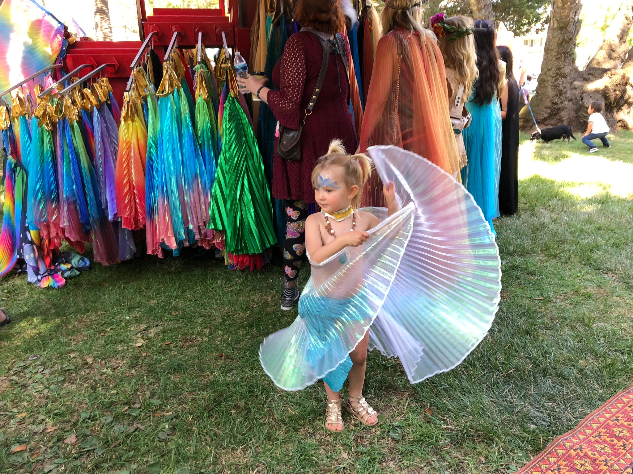 Dancing Wings for Little Kids (Small) - Image 5