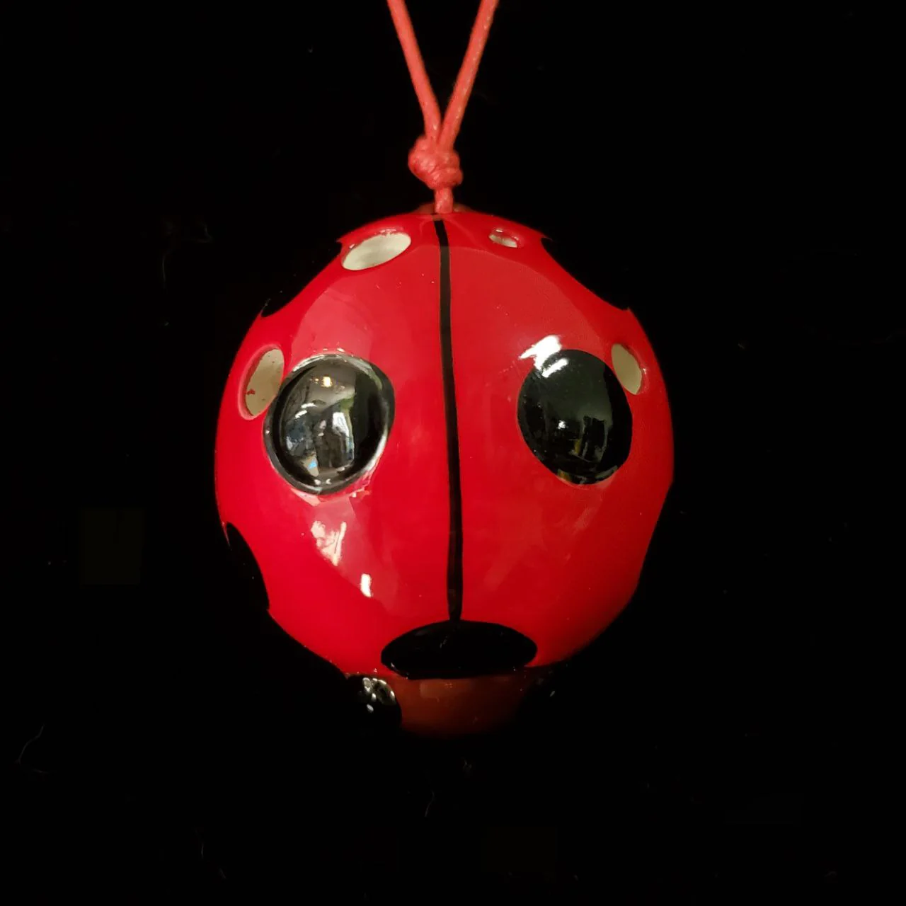 Ladybug