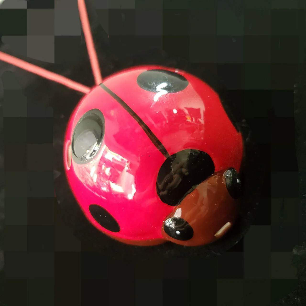 Ladybug - Image 2