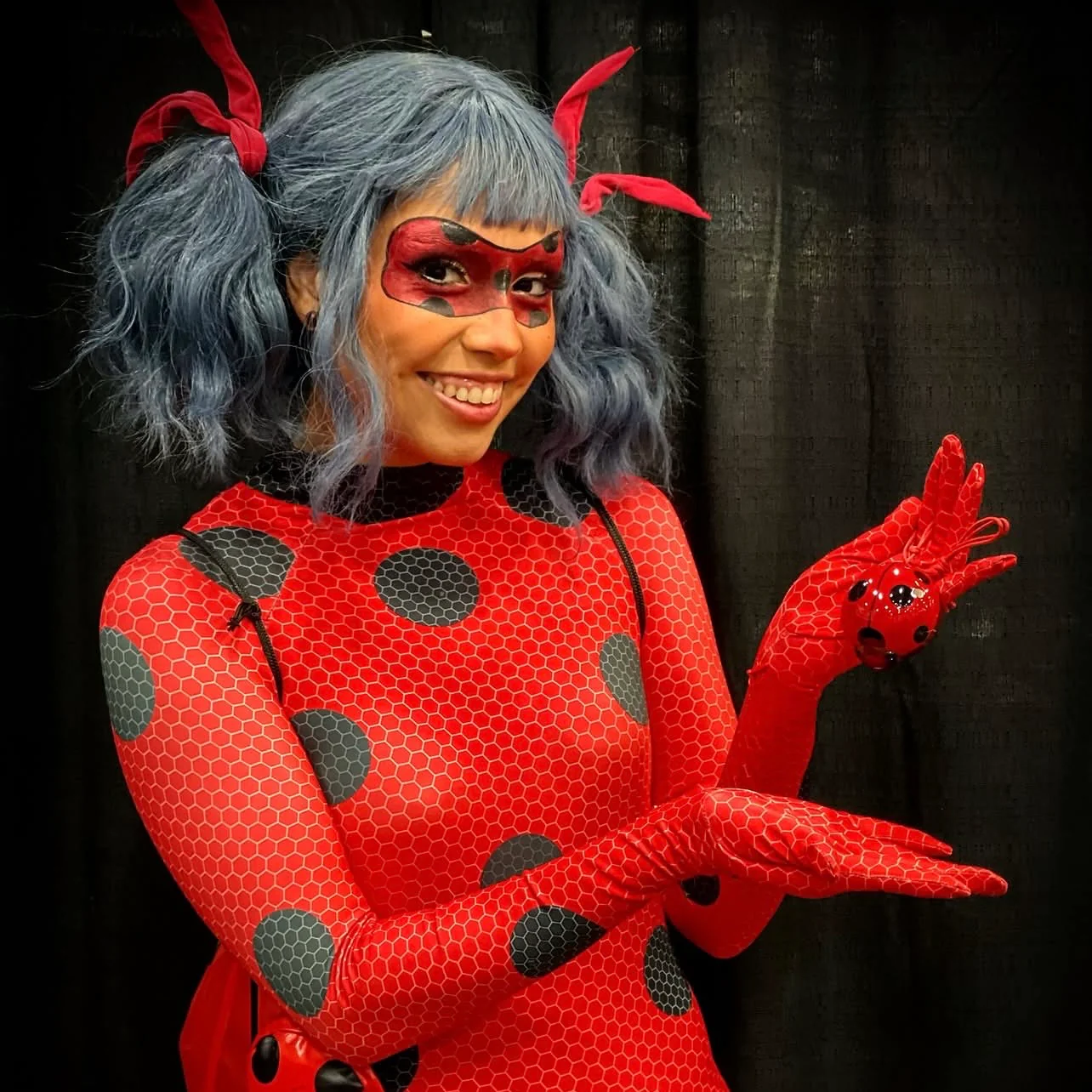 Ladybug - Image 6