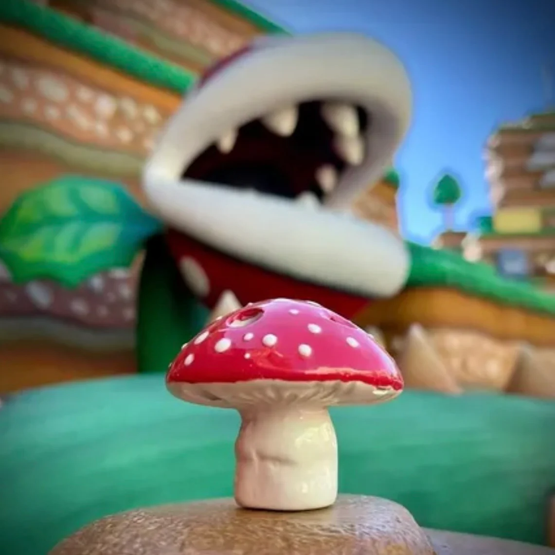 Mushroom - Image 3