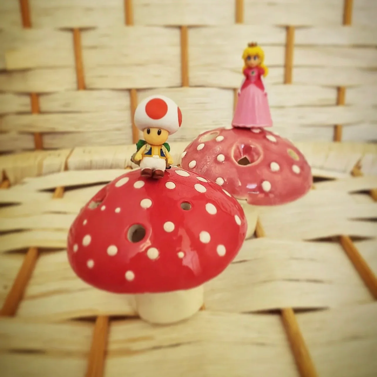 Mushroom - Image 5