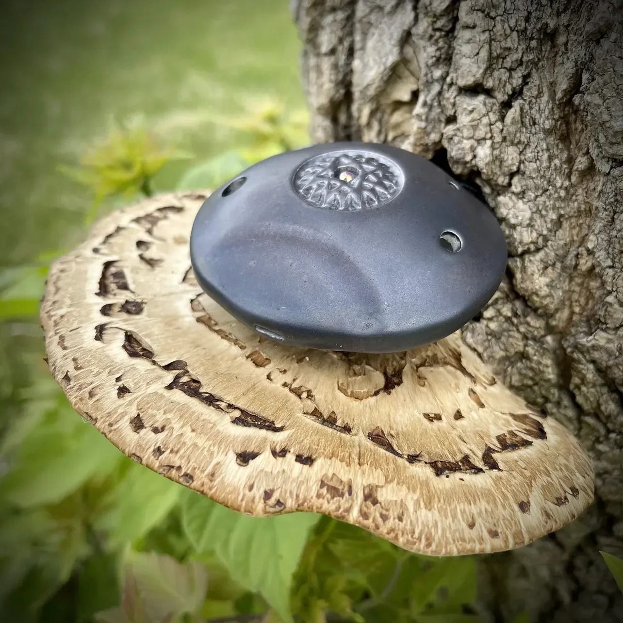 Gemstone Alto D - Image 2