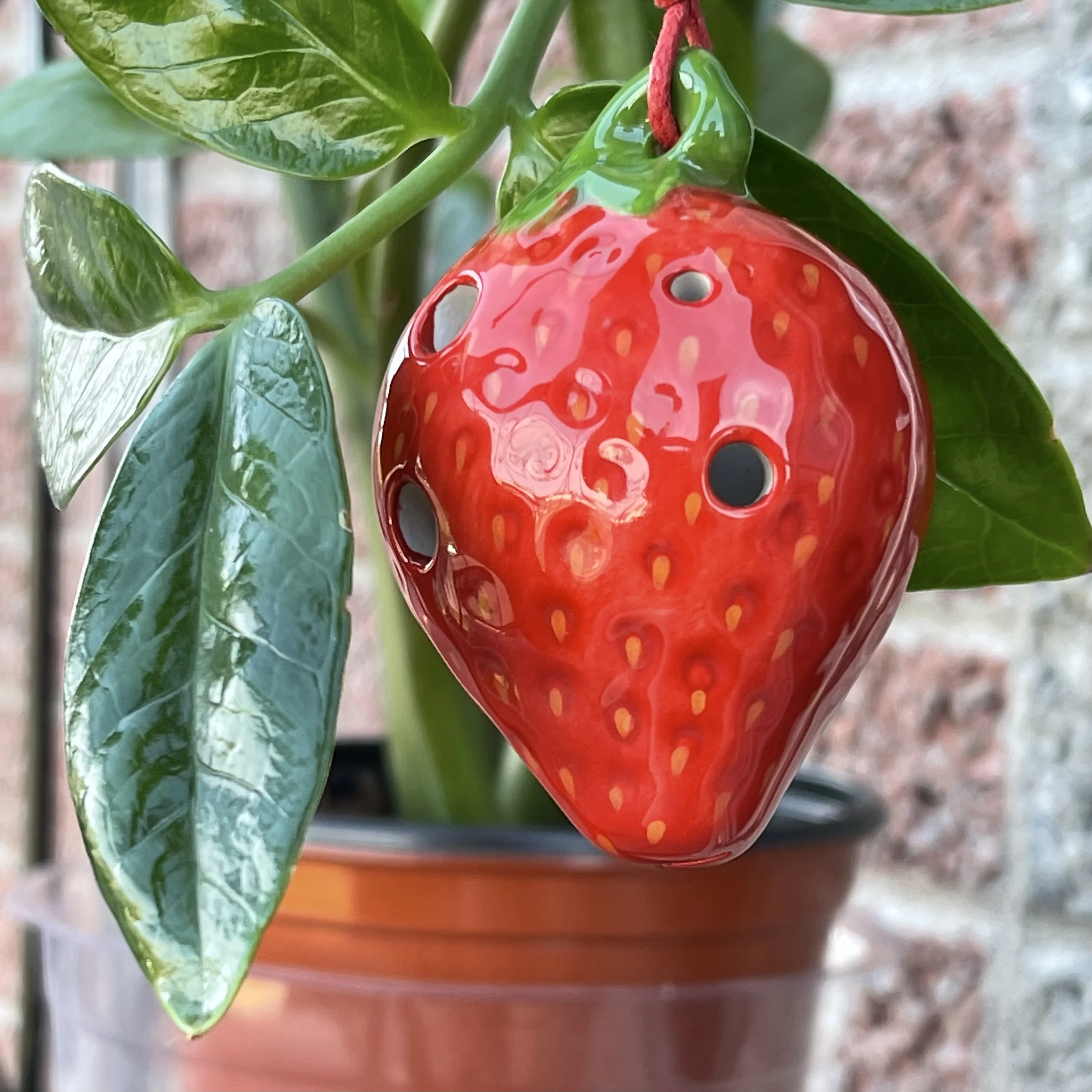Strawberry - Image 3